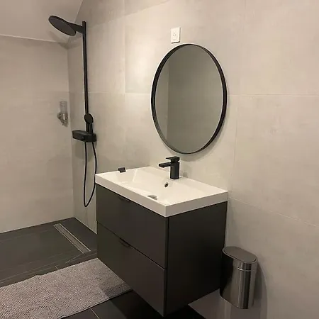 Full House, Jacuzzi, Netflix, 8 Pers, Free Parking 10' Colmar Vakantiehuis