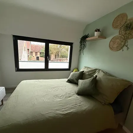 Full House, Jacuzzi, Netflix, 8 Pers, Free Parking 10' Colmar Vakantiehuis Widensolen