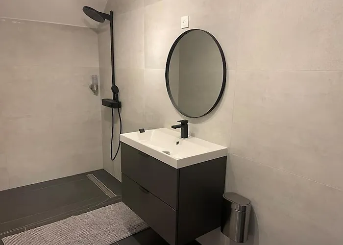 Full House, Jacuzzi, Netflix, 8 Pers, Free Parking 10' Colmar Tatil Evi